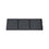 Load image into Gallery viewer, EcoFlow NextGen 160W Portable Solar Panel