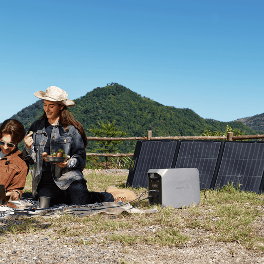 EcoFlow 220W Lightweight Portable Solar Panel 220W Lightweight Portable Solar Panel