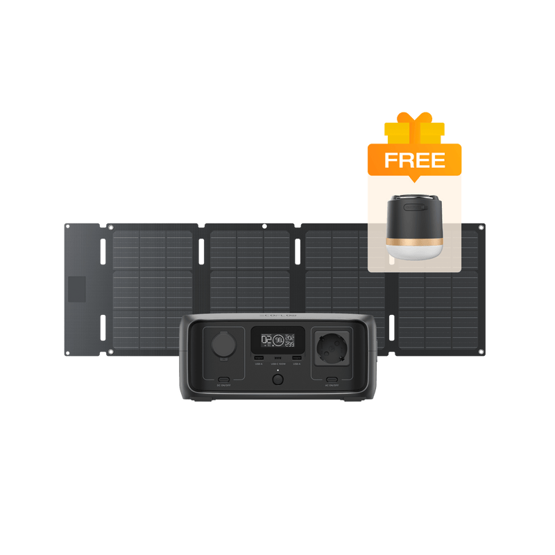 Load image into Gallery viewer, EcoFlow 45W Portable Solar Panel RIVER 3 + 45W Solar Panel (Type-C)
